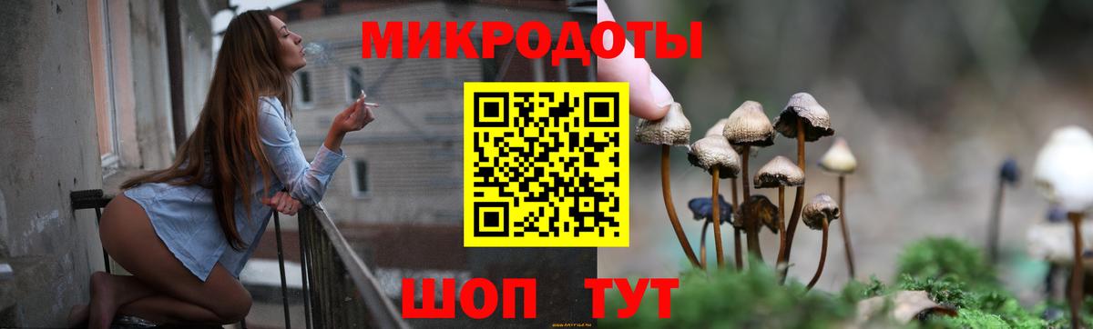 Карачаевск  Галлюциногенные грибы ЛСД  Вход с VPN 